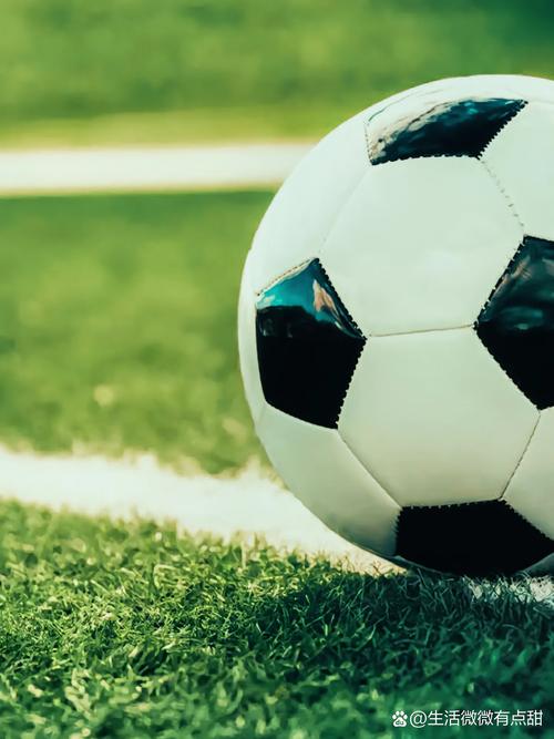 历史数据查询功能